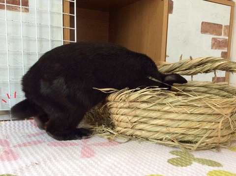 9B4630D8-0515-47EB-8354-8BC4E38A1EE6