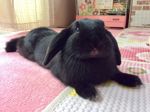 7D208B35-EF38-482A-8C0A-E30DA08AA036