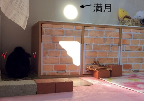 7AA88AAB-3FA7-454F-A047-3BEAA163D3C5