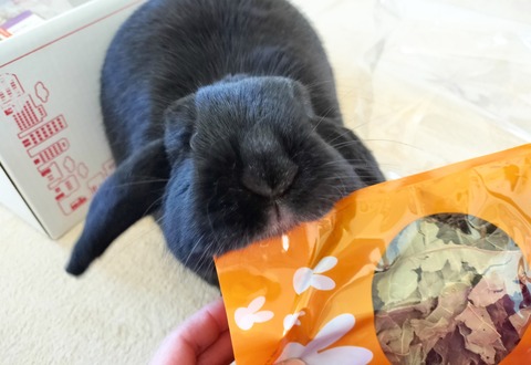 39086B6B-E172-427A-B847-0E56725ED98F