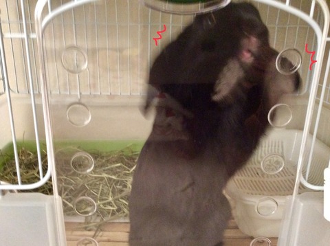 09BE9DDF-A05E-4E62-B2BD-7777F236D559