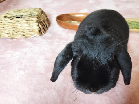 A4AADC94-1B20-4647-BF15-D56D318AD5E5