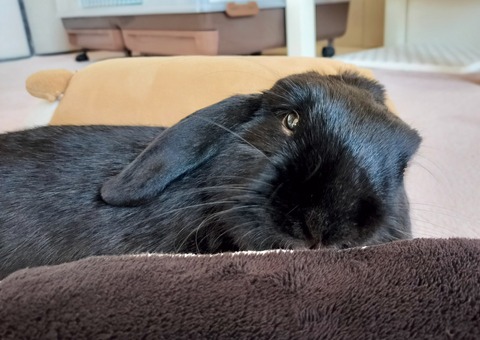 28F86DC3-30CB-46BA-BDE8-E15EB3E56406