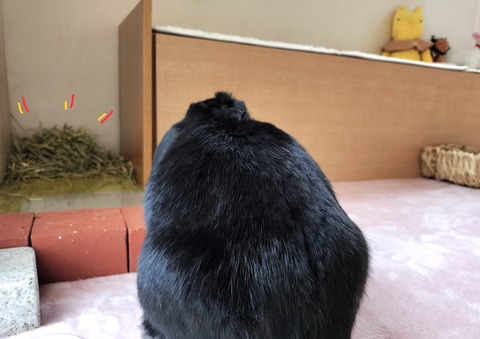 BB402BF0-1622-4AA4-9A57-7CB8AF1943E0