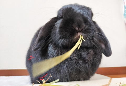 379D29F0-1BC0-4262-B4F1-6467D98A1B0F