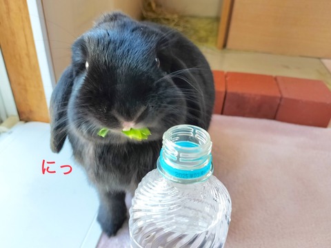 D4E6A7CC-0572-4DAA-910D-E71171A0BCEE