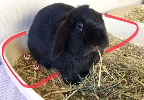 AAD04174-D557-4D0D-9C62-360CF3115404