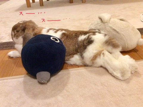 C8A832EB-BDCC-4CCA-8574-BAEF72F25254