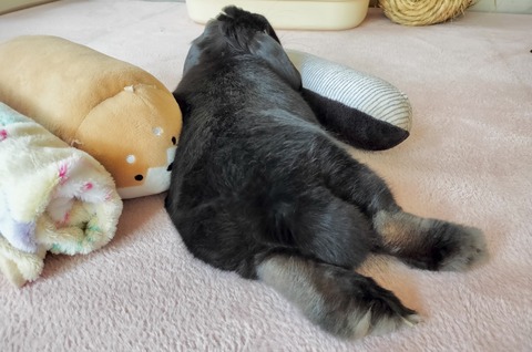 50EEB51A-FF3B-47B6-86AC-9AC64A33BB9A