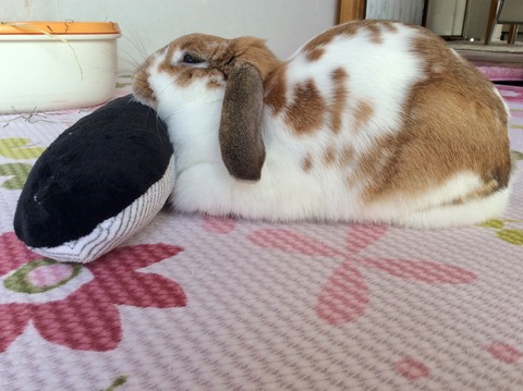 54F7DC69-6828-4185-BED3-92BEAC3D7CD7