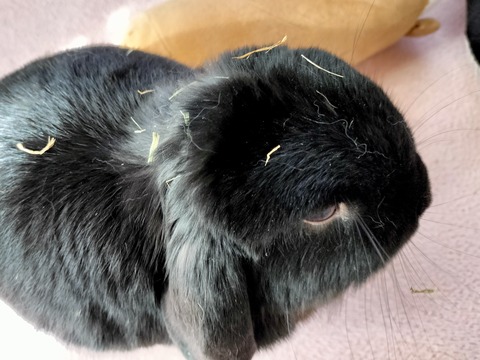 48CAB3DE-D9E3-491B-8704-B29837F213AE