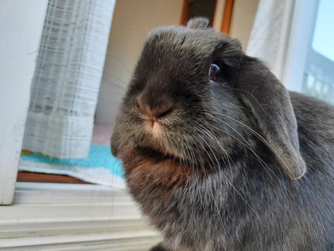 427F0A6E-EB8A-4D38-B012-33859EC26660