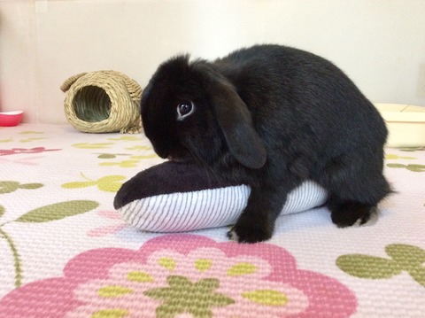 B6AB790E-FF9F-43AC-AB68-EFB80804C9B7