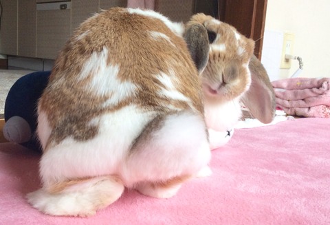 702738D1-0378-4A28-91B7-F7ECBF89684D