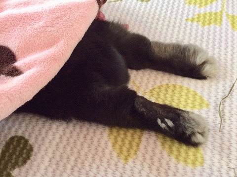 2D0E983F-5BBB-4B27-9B26-6BD97F1B8DCD