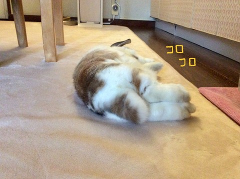 F0DD04D5-A857-4574-A94E-538A389F6C0A