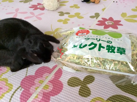 23DB8A57-CC33-4D66-8505-8FF1557B160C