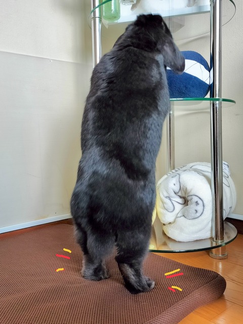 C9D2192C-7E5B-4C49-851C-4CF64D443635