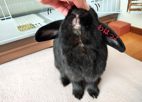 57269C54-4163-46CF-9243-7DAF9703196F