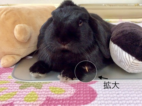 AA56E7D1-A07F-47DC-93E8-0AD6F3BCAA15