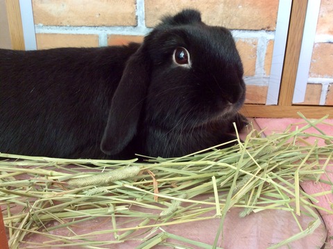 220BA3A7-6D5A-491F-AB6A-C46E068142FB