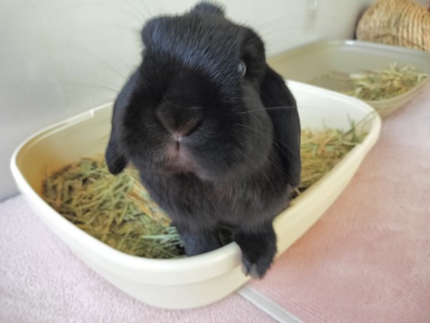 C3387482-FDEB-470F-9587-8606DBD3B1C7