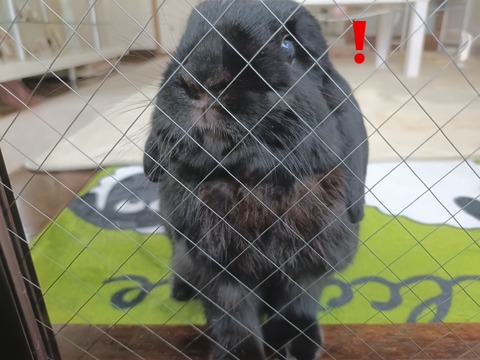 1430D06A-B1BC-4938-AC95-09E0B7B284F5