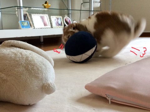 B8B8C1D3-9B04-448C-A29A-36E213250000