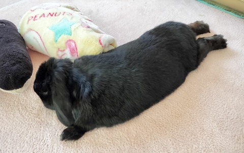 F101461F-59EF-432F-A19A-0835E1770935