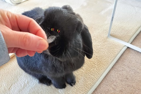 9410C7CB-D4D4-462D-BC55-DBE3DE28B5F7