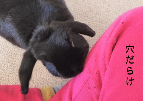 6413F571-269F-4873-AFDF-40A45470C6D1