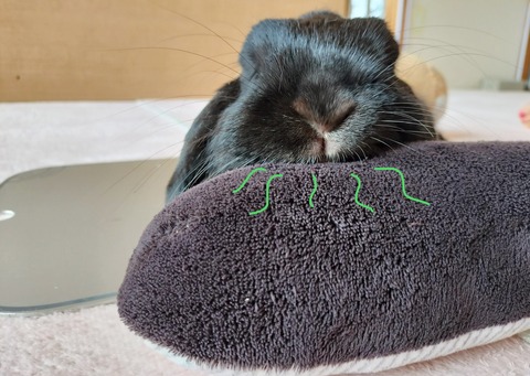 6BAE8090-0E3A-40BC-868E-5E1963C54676