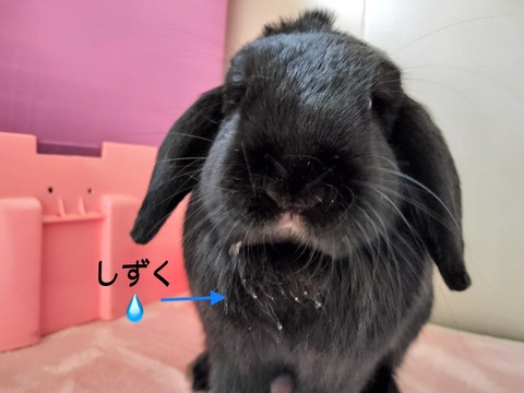 2BAC5C35-FB80-468E-BCE8-EBB9971D00E7