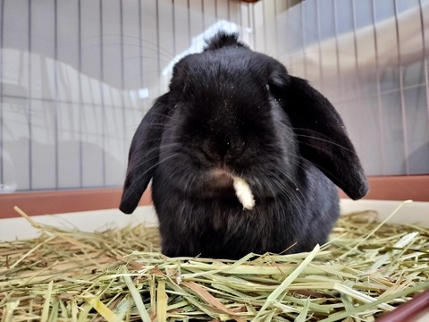 60FCD58E-E672-4D9E-ADAE-C5C12A1F6258