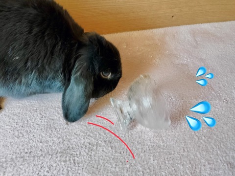 70027800-0907-4908-9254-40D1B572BD44