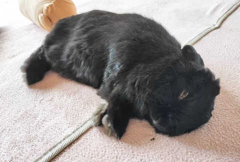 188B305F-6C85-43D0-B787-42414629AE93