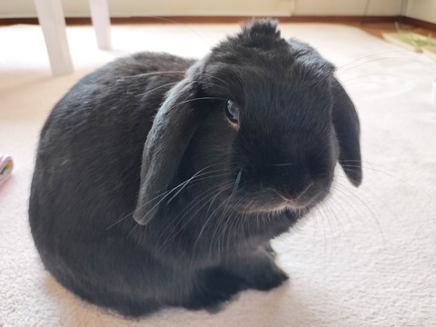 E1EA7A22-46DC-44F0-A988-69DF1D98F4DC