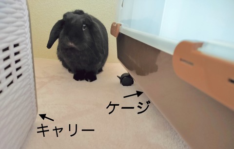 3DFECEBC-AE8E-465A-8AFF-280148456E6A