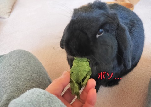 6FB7D84D-AF58-44EE-BEAD-CE197DC0A185