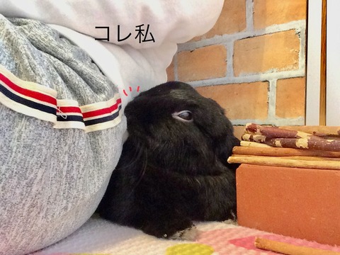 67E73434-5CD5-40EE-BC7C-FFC5FF423752