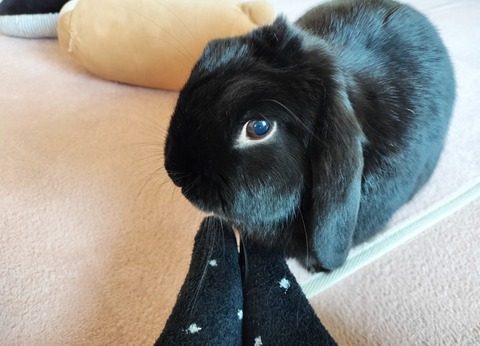 90145108-5C17-4350-96C7-A9D5A51A5CC3