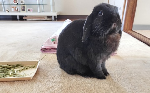 46D2F623-51A6-4E4C-88D2-08CF72A80316