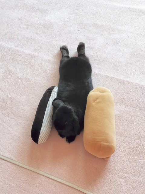 5C800262-5281-432B-AE9E-F76D86F89B27