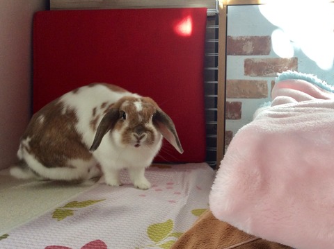 F1D99CDA-0DCF-4CFA-9E86-DA5D6D01DC25