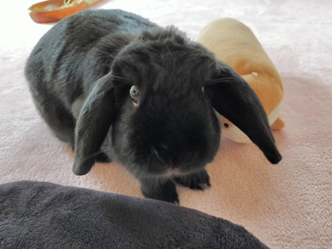 8904EB14-9B57-4AD3-857B-5BDCAFAE3A43