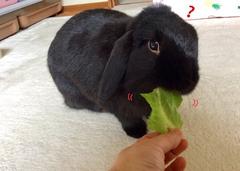 7EBAFAD6-3631-4F9F-8ABE-7579B08E9F6E