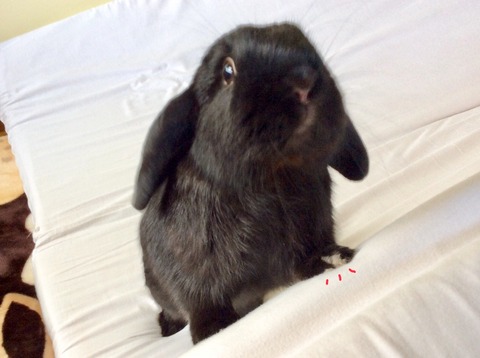 45FD22FA-C249-48C7-B483-CBD9E08D57F4