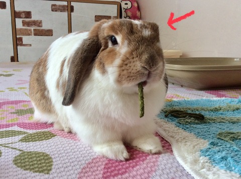 42BE4FAB-DB9C-4C15-8C33-5C0EDCC104BB