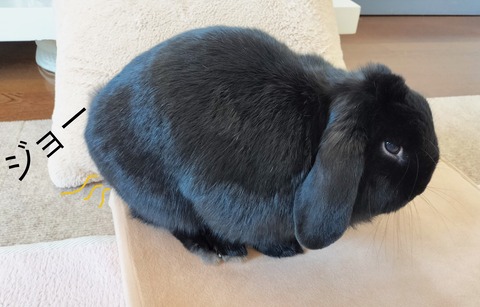 C6795EF4-9825-40C8-AE0E-608AED43CDCB