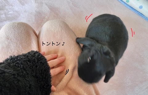 66DB19B5-3C33-49FA-B6AE-6B85B3808B03